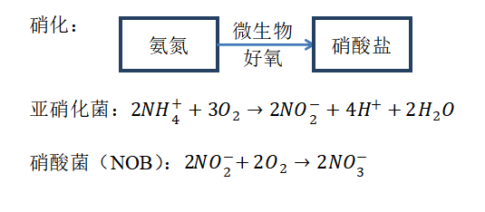 1545646295180060.png image.png