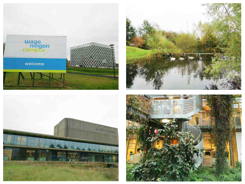 湛清环保 湛清环保