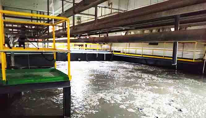 总氮去除 总氮去除