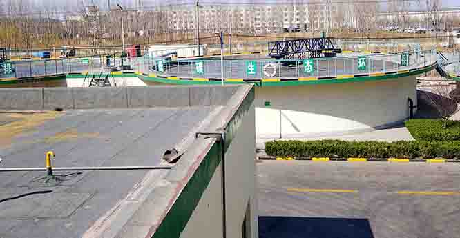 总氮去除 总氮去除