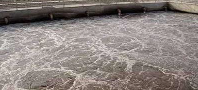 总氮去除 总氮去除