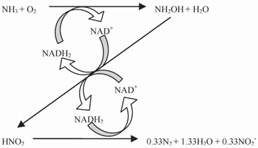 1559531192157928.png image.png