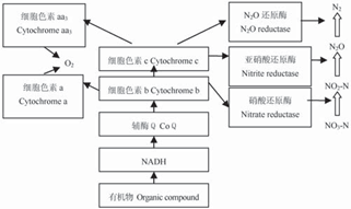 1559531472301003.png image.png