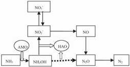 1559531607159051.png image.png