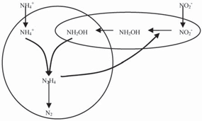 1559531851188960.png image.png