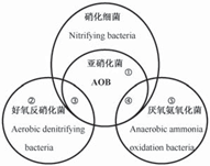 1559532260548046.png image.png