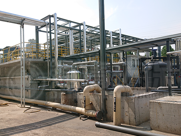 总氮去除 总氮去除