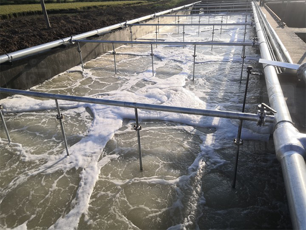 总氮超标 总氮超标