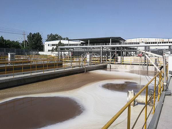 1650353224190842.png 3.1-600.png